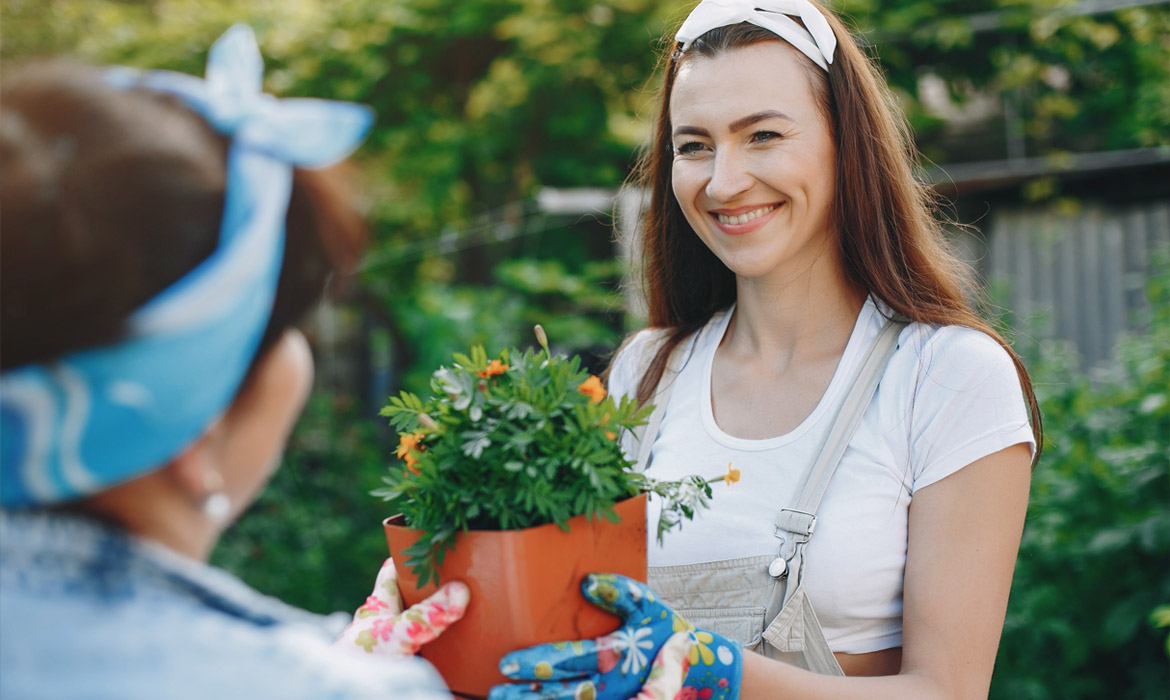Landscaping: The Best Idea You’ve Ever Had