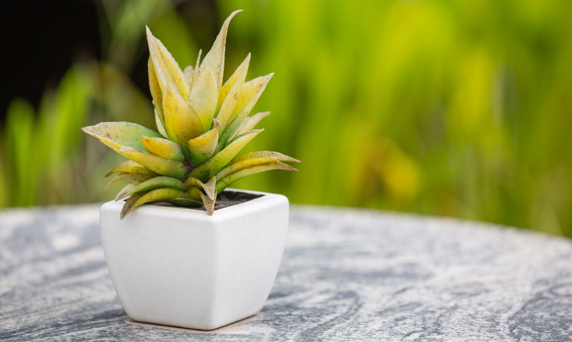Trusted Landscape of Investment Adviser