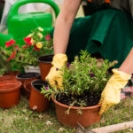 We Will Help You About Pool Health
