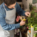 Maintaining Your Yard This Year